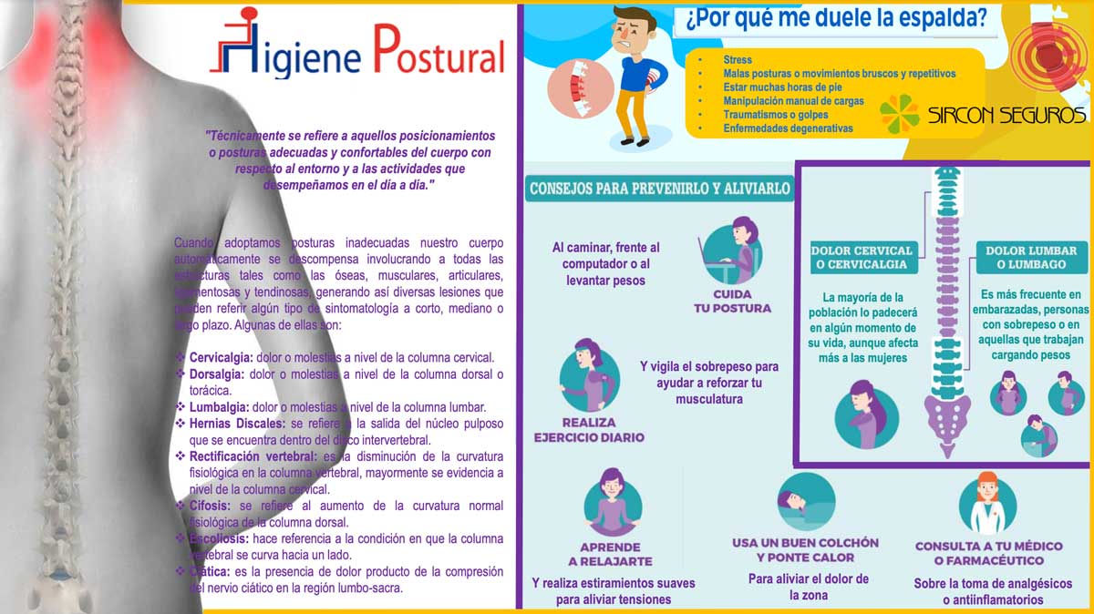 ¿Porqué me duele la espalda?